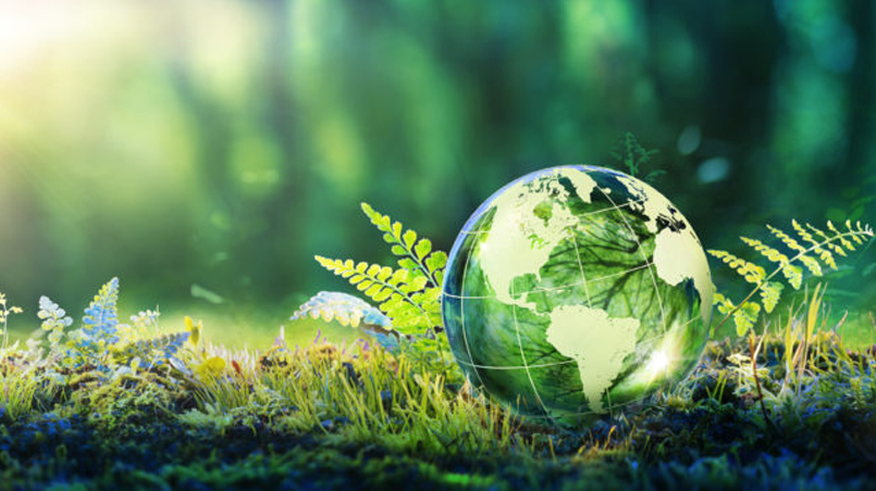 ESG & Climate Oversight in the Spotlight